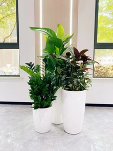 宁波海曙绿植租赁设计